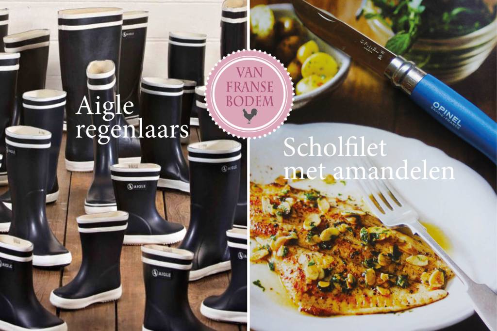 Aigle regenlaars en&nbsp;scholfilet