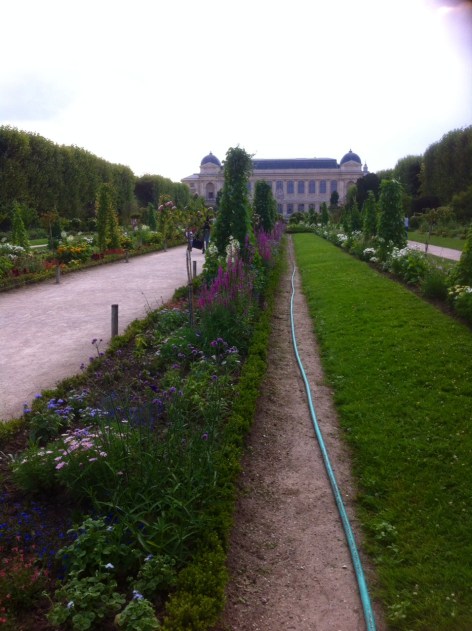 Jardin des Plantes