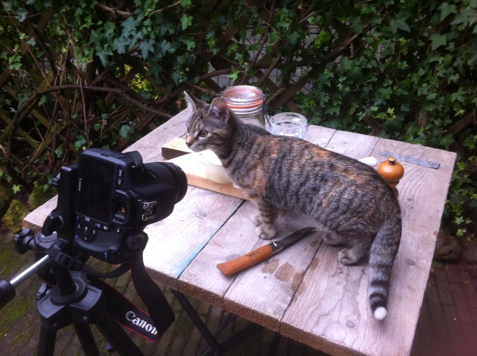 De l’ancien temps! (uit de oude doos)