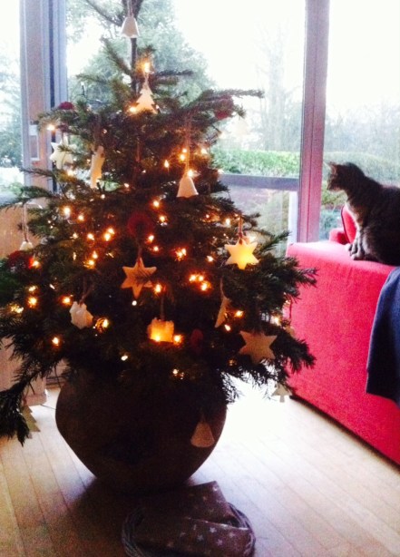 foto 1 kopie 16.14.24