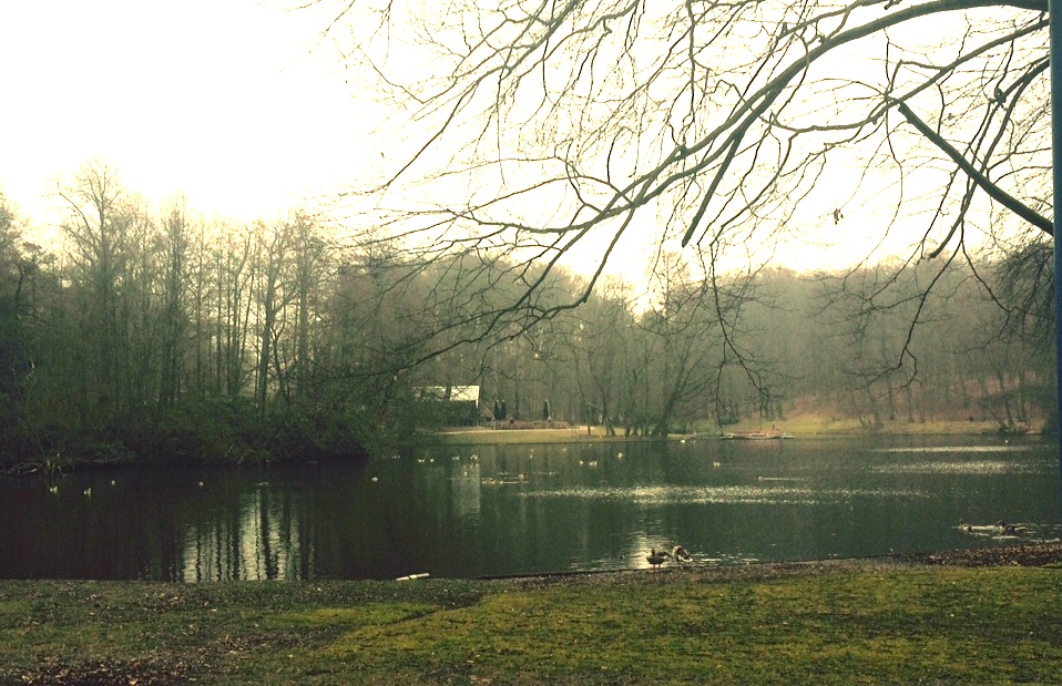 ‘Wildplukken’ in Sonsbeekpark Arnhem
