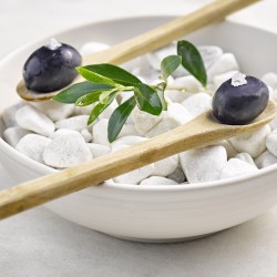 fc_food19558-s-w250-h250-q90-m1474544811