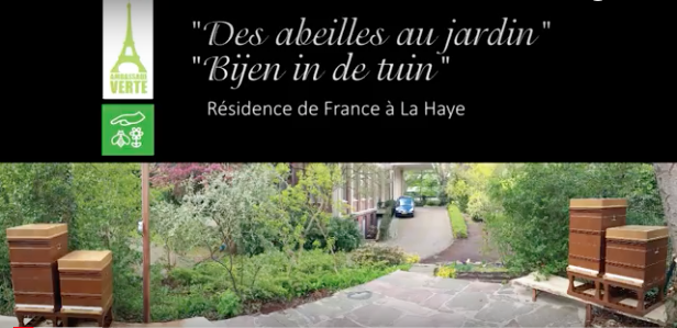 Schermafbeelding 2017-10-10 om 18.48.27