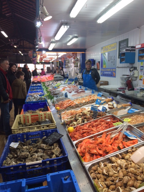 Regenachtig dagje Medoc