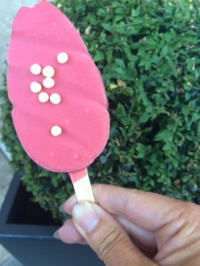 Franse ambassade Den Haag