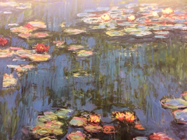 Film Water Lilies by Monet te zien in Filmhuis Den Haag