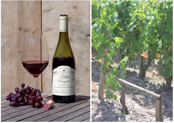 Beaujolais