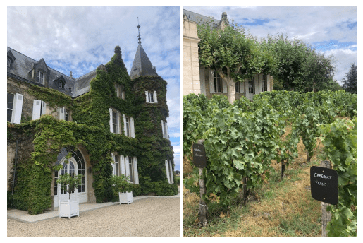 Bezoek Chateau Lascombes,&nbsp;Margaux