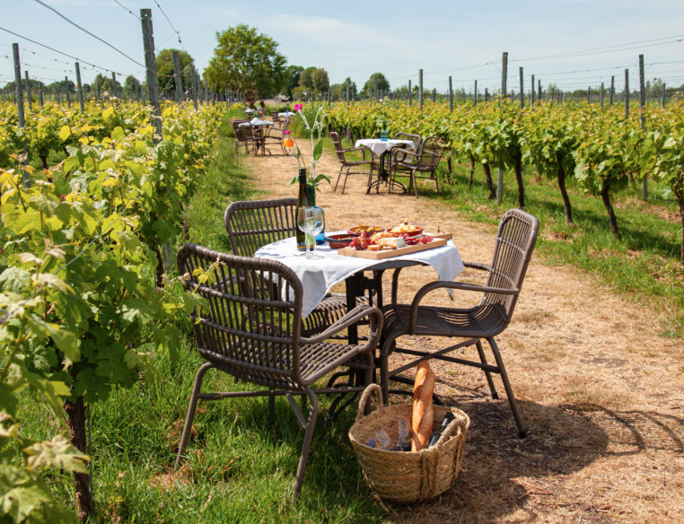 Picknicken tussen wijngaarden in&nbsp;Nederland