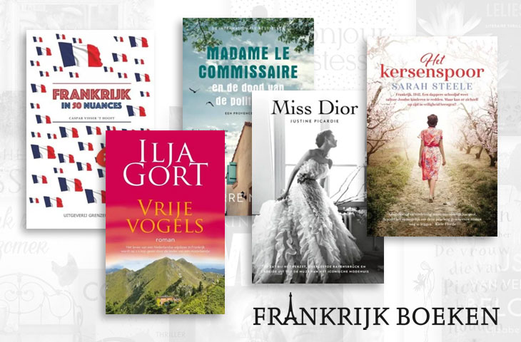 5 mooie Franse zomerse&nbsp;boekentips