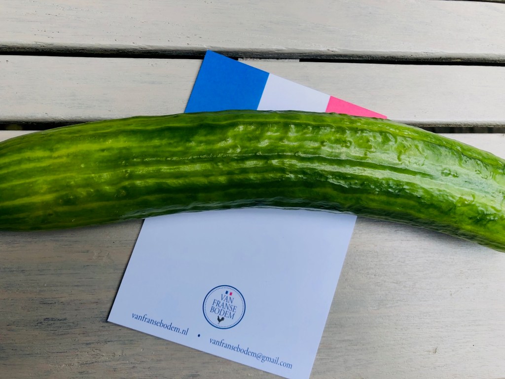 Komkommertijd @vanfransebodem